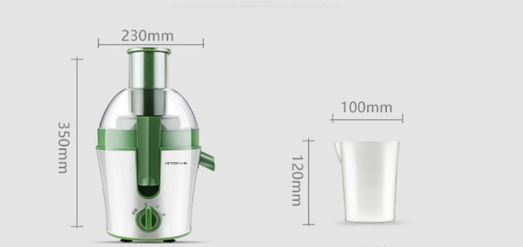 Electric Juicer