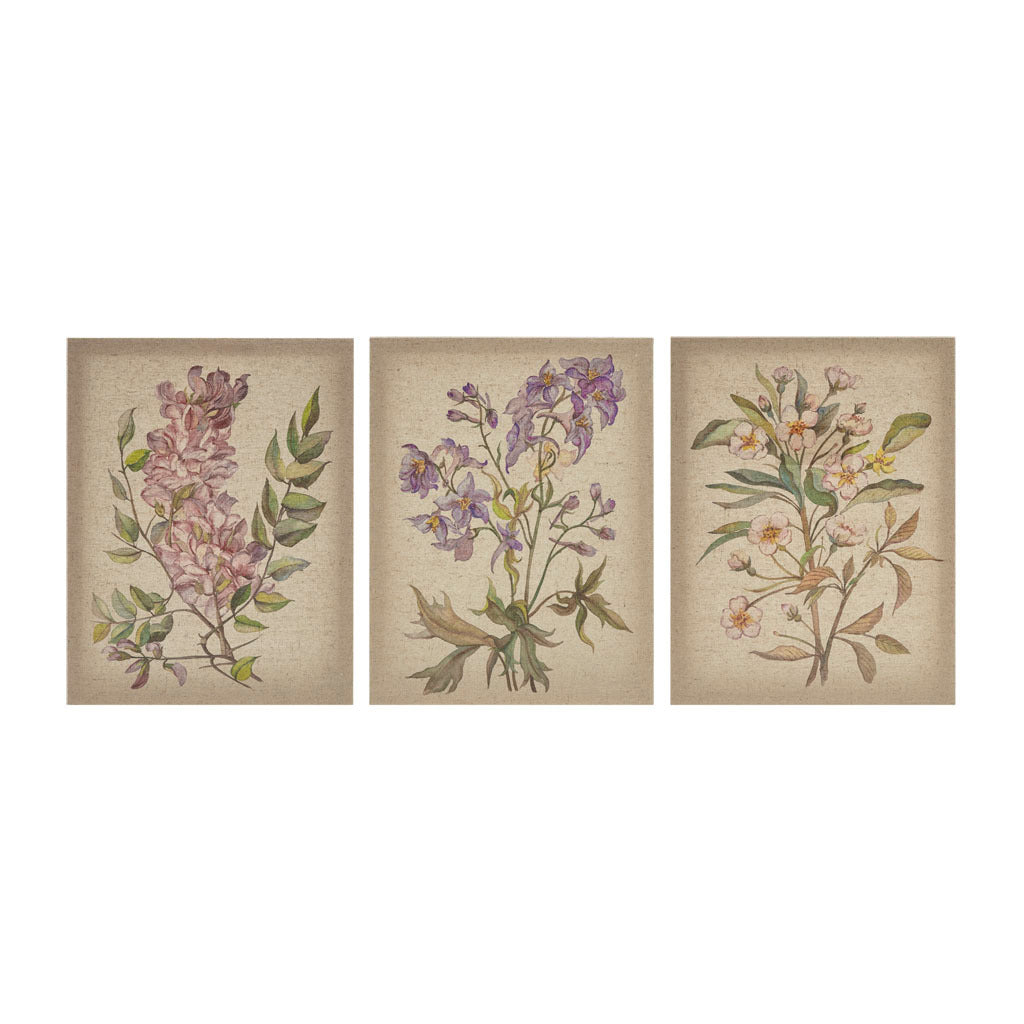 Illustrated Floral 3-piece Canvas Set