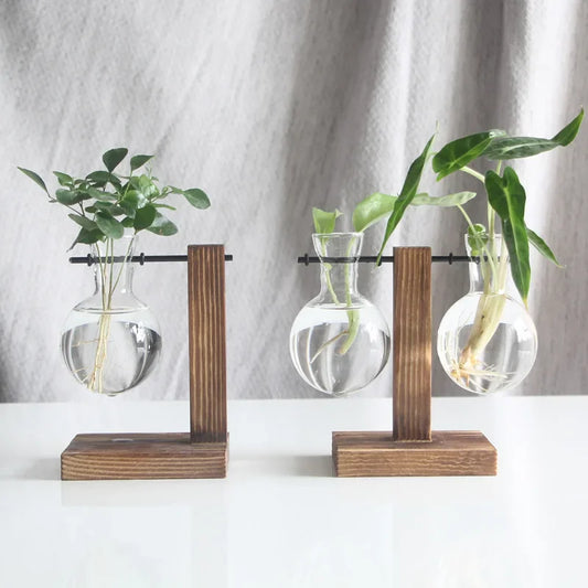 Hydroponic Bulb Vases